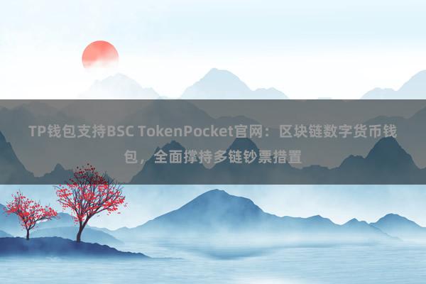 TP钱包支持BSC TokenPocket官网：区块链数字货币钱包，全面撑持多链钞票措置