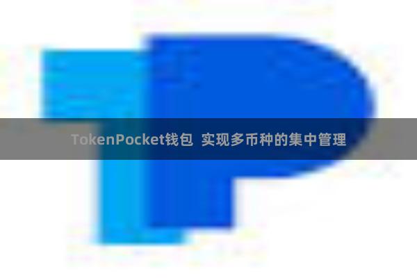 TokenPocket钱包  实现多币种的集中管理